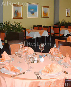 Dalmina Hotel 16